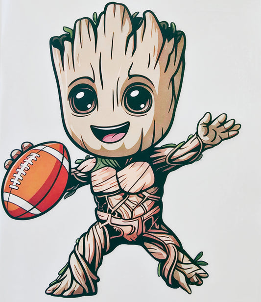 Football Groot