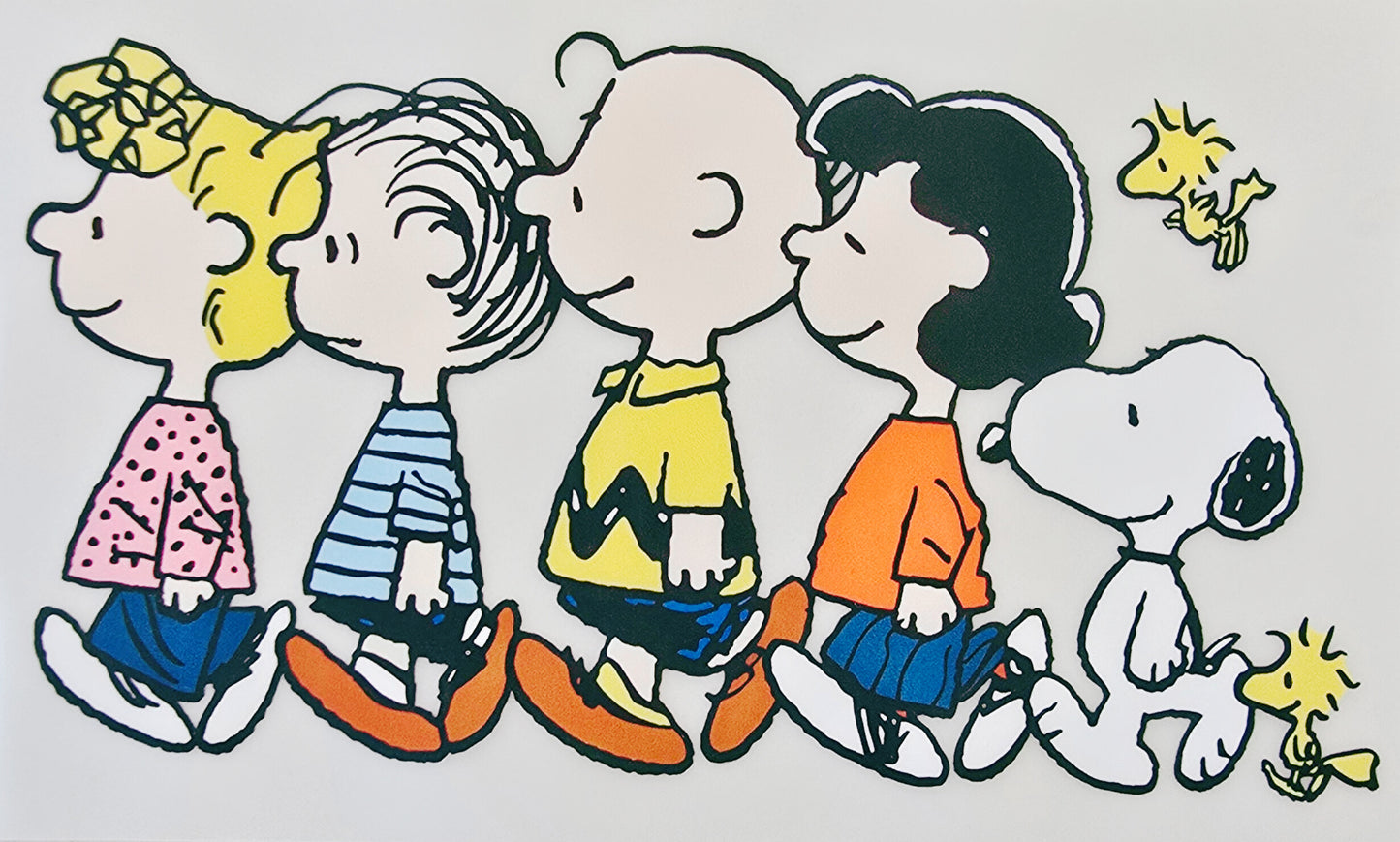Snoopy & Friends