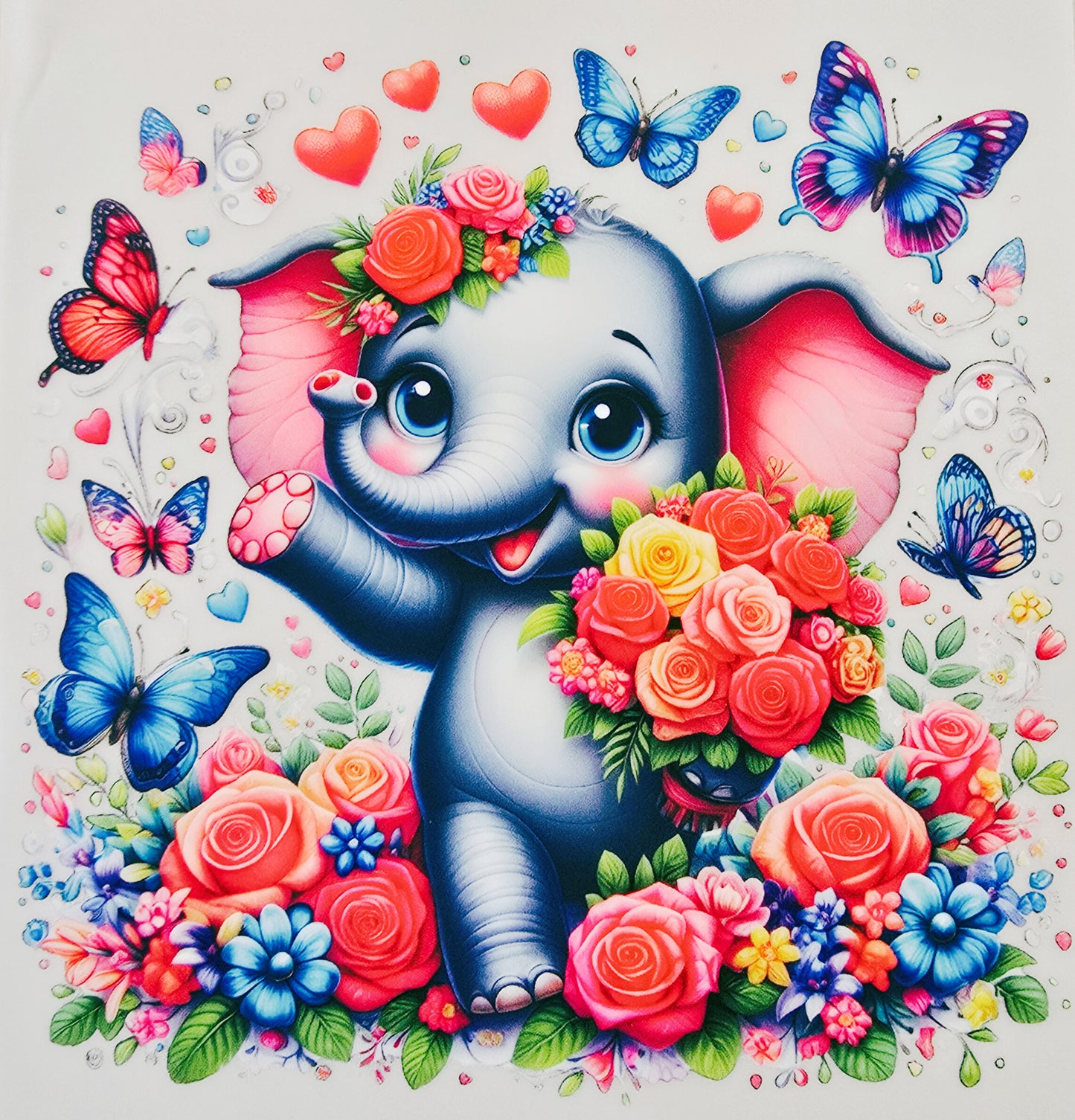 Young Elephant