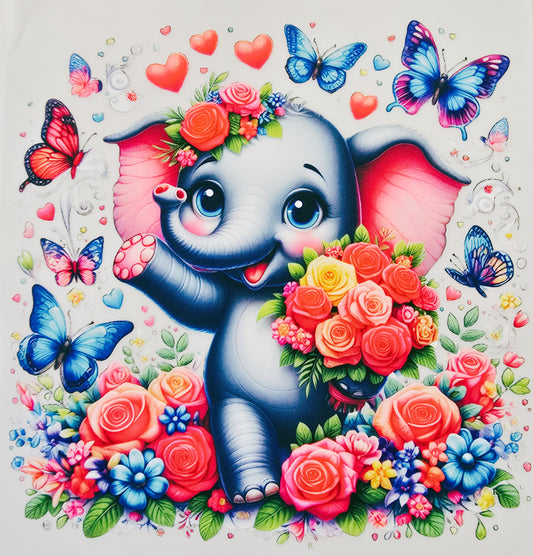 Young Elephant