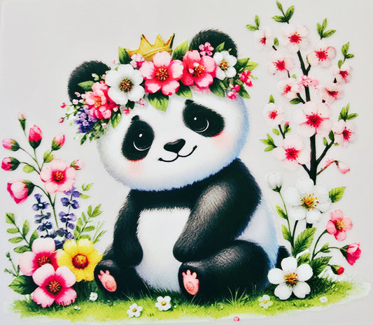 Young Panda