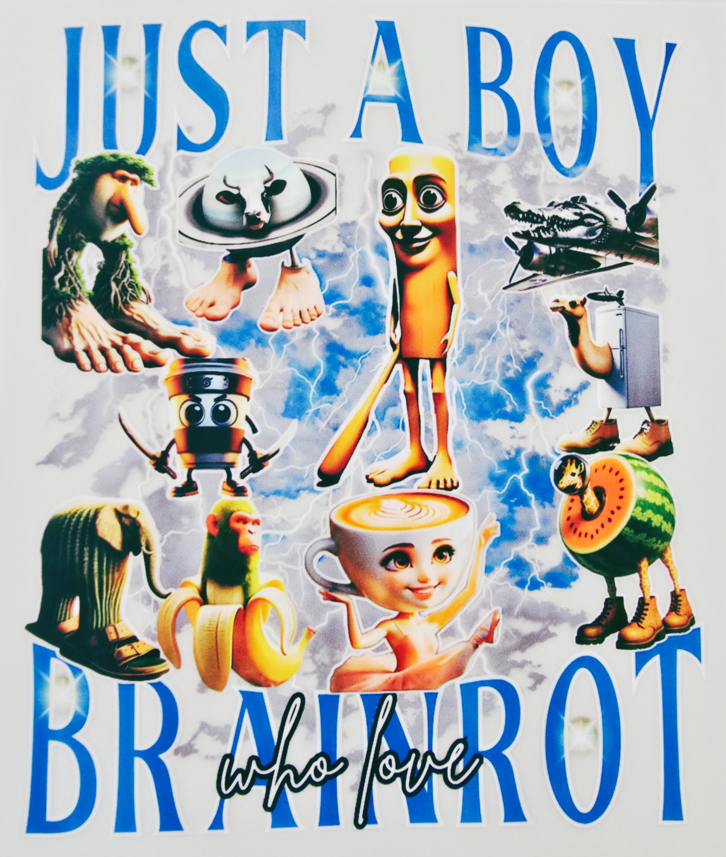 Just a Boy Who Loves Brainrot
