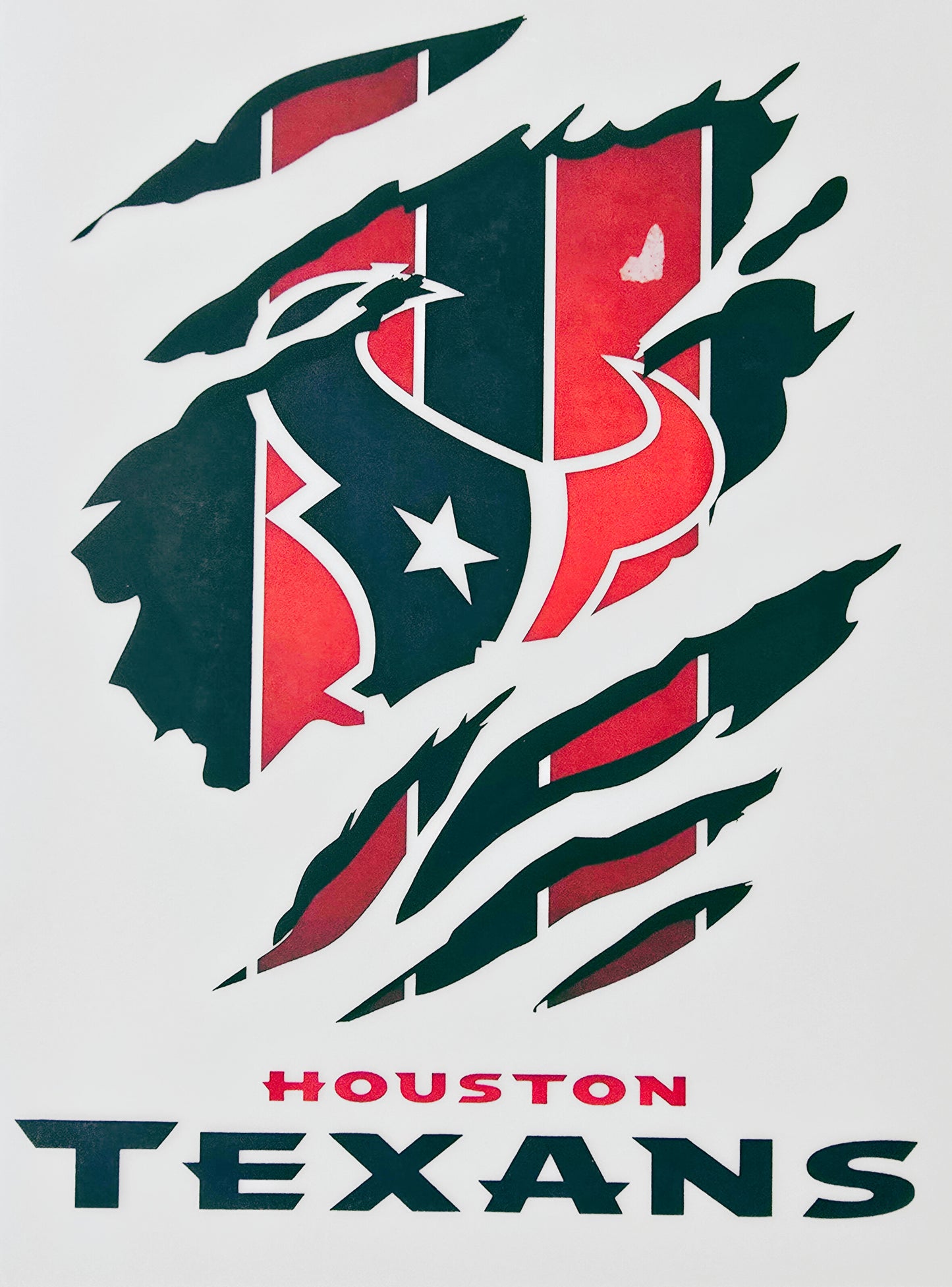 Houston Texans