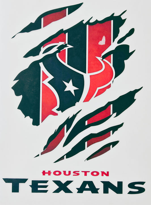Houston Texans