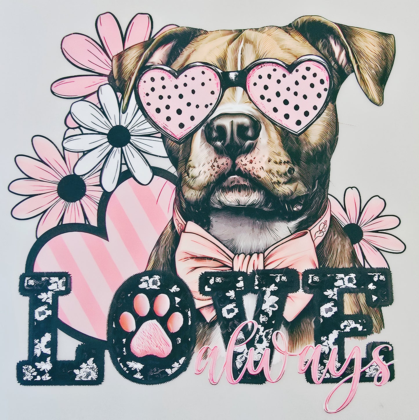 Pitbull Love