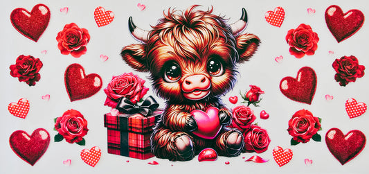 Young Valentine Cow