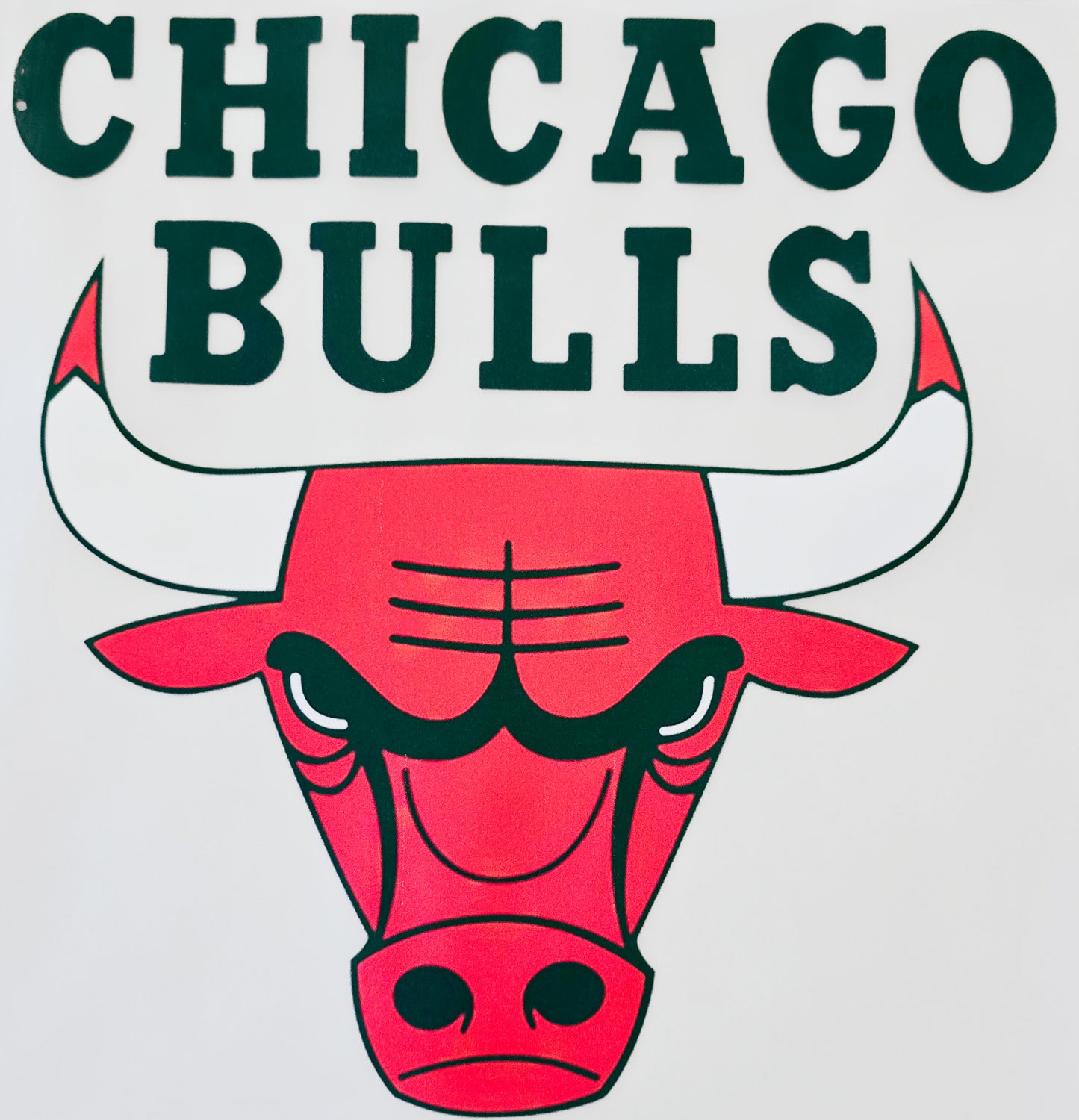 Chicago Bulls