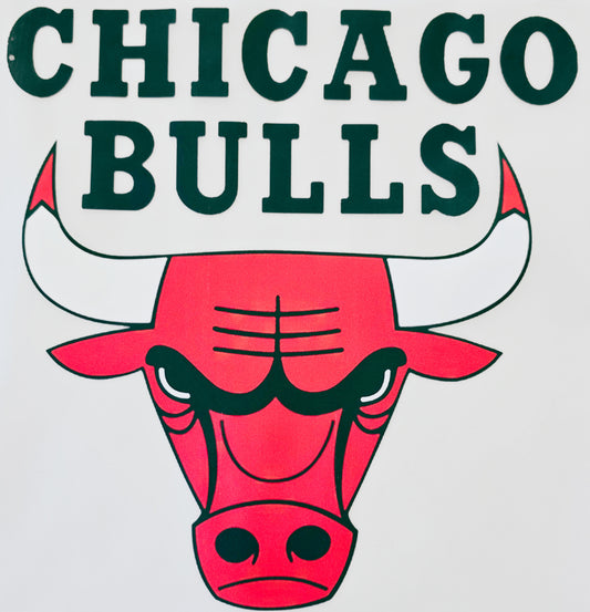 Chicago Bulls