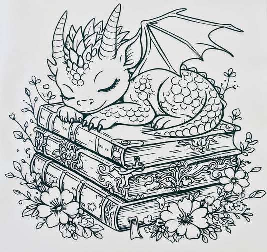 Bookstack Sleeping Dragon