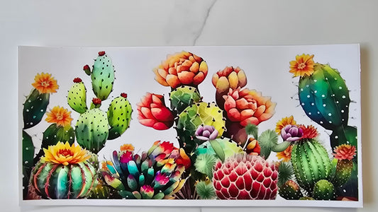 Cactus