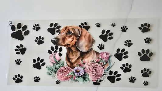 Puppy