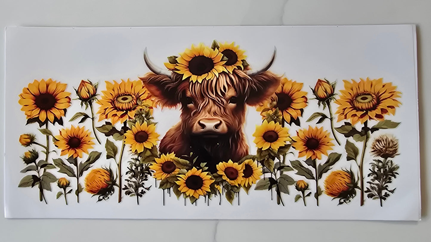 Highland Cow